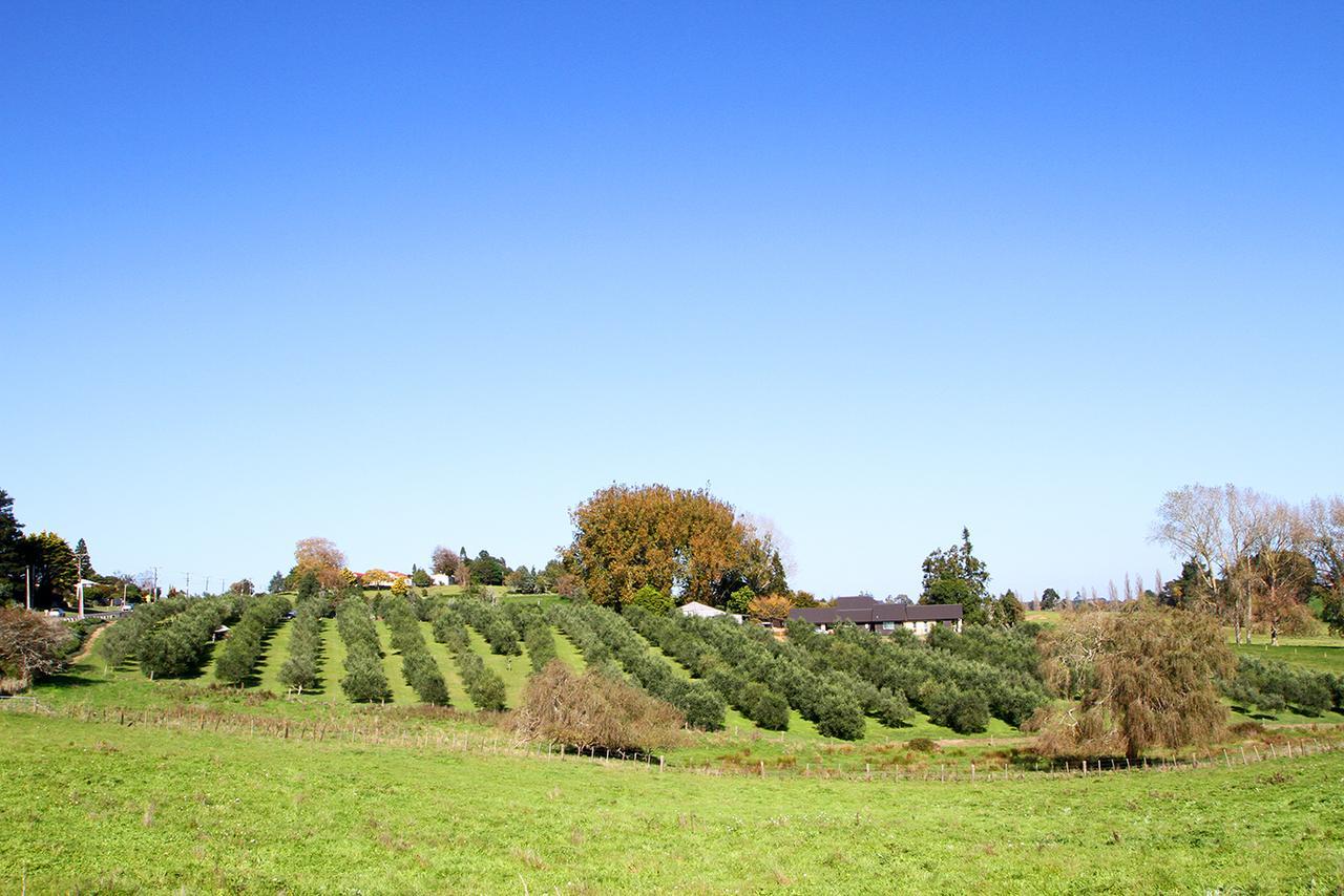 Ohaupo Olives Exterior foto