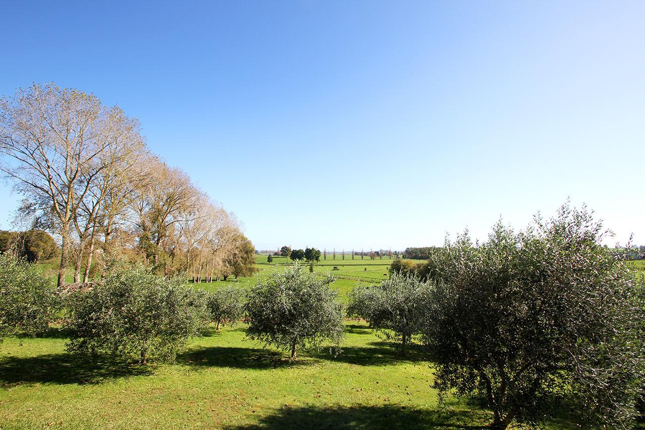 Ohaupo Olives Exterior foto
